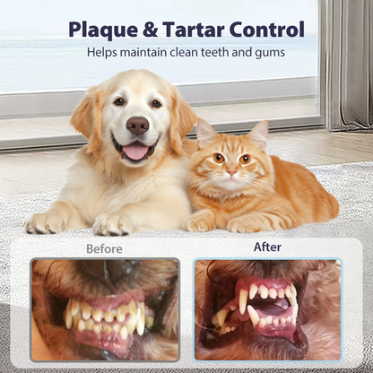 SEAGRIL™ Dental Spray – Stop Bad Breath & Tartar at the Source