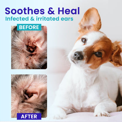 SEAGRIL™ Pet EarPro Drops FM+ (𝟟𝟘% 𝕆𝔽𝔽 𝗘𝗡𝗗𝗦 𝗜𝗡 𝟭𝟬 𝗠𝗜𝗡𝗨𝗧𝗘𝗦)