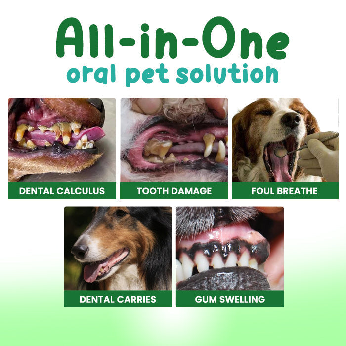 ✨SEAGRIL® Pet Oral Care Spray – 🦷3-Day Fresh Breath Solution 🐾