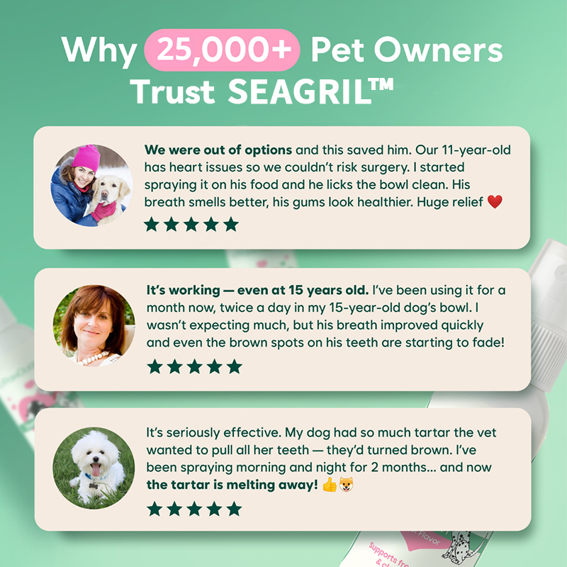 SEAGRIL™ Dental Spray – Stop Bad Breath & Tartar at the Source
