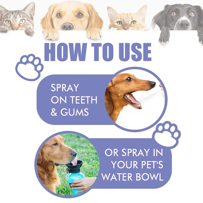 🔥Hot Sales 50% OFF🔥🔥 SEAGRIL®  Pet Dental Care Spray – Fresh Breath & Easy Oral Care for Dogs & Cats 🐶🐱-CU