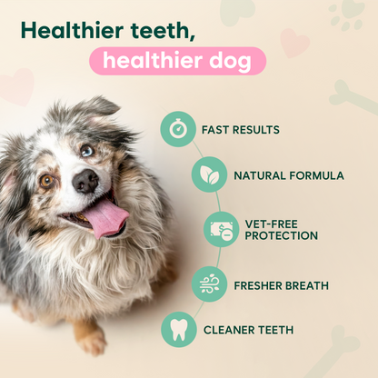 SEAGRIL™ Dental Spray – Stop Bad Breath & Tartar at the Source