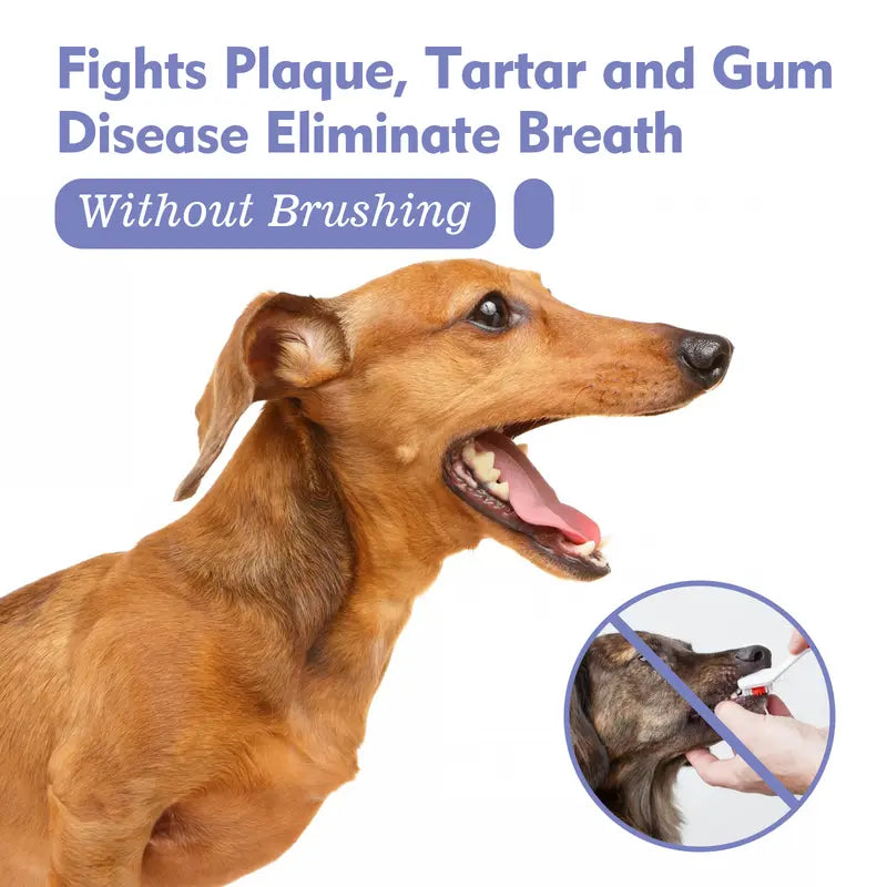 🔥Hot Sales 50% OFF🔥🔥 SEAGRIL®  Pet Dental Care Spray – Fresh Breath & Easy Oral Care for Dogs & Cats 🐶🐱-CU