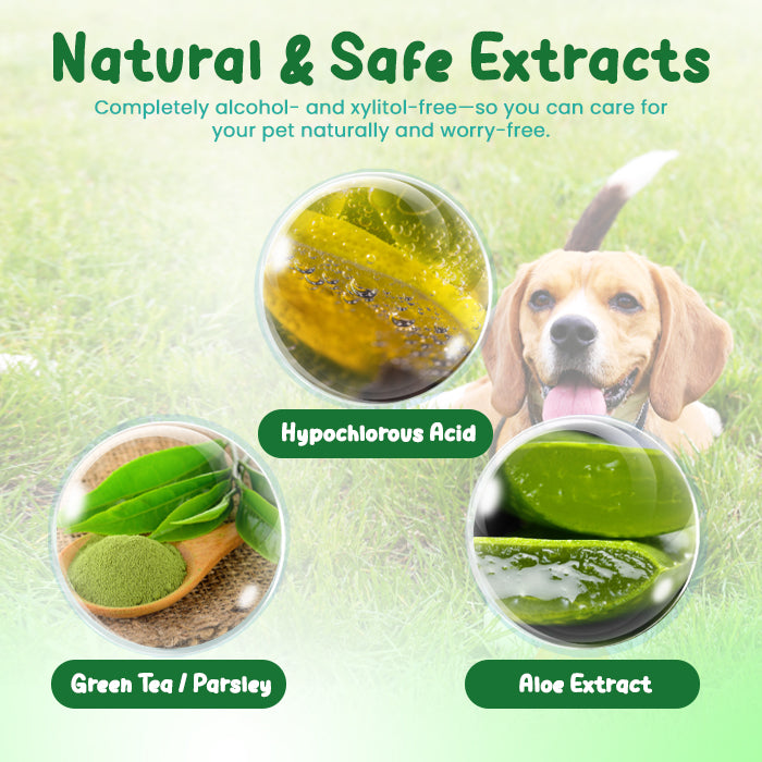 ✨SEAGRIL® Pet Oral Care Spray – 🦷3-Day Fresh Breath Solution 🐾