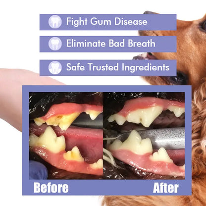 🔥Hot Sales 50% OFF🔥🔥 SEAGRIL®  Pet Dental Care Spray – Fresh Breath & Easy Oral Care for Dogs & Cats 🐶🐱-CU
