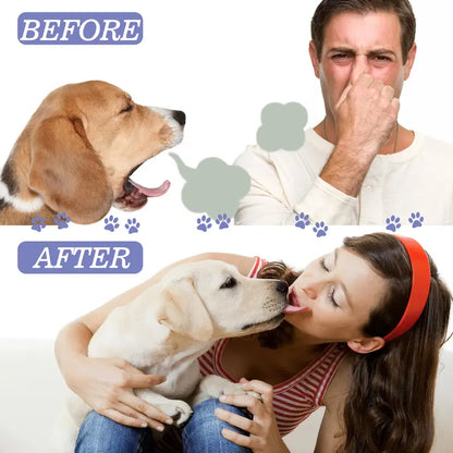 🔥Hot Sales 50% OFF🔥🔥 SEAGRIL®  Pet Dental Care Spray – Fresh Breath & Easy Oral Care for Dogs & Cats 🐶🐱-CU