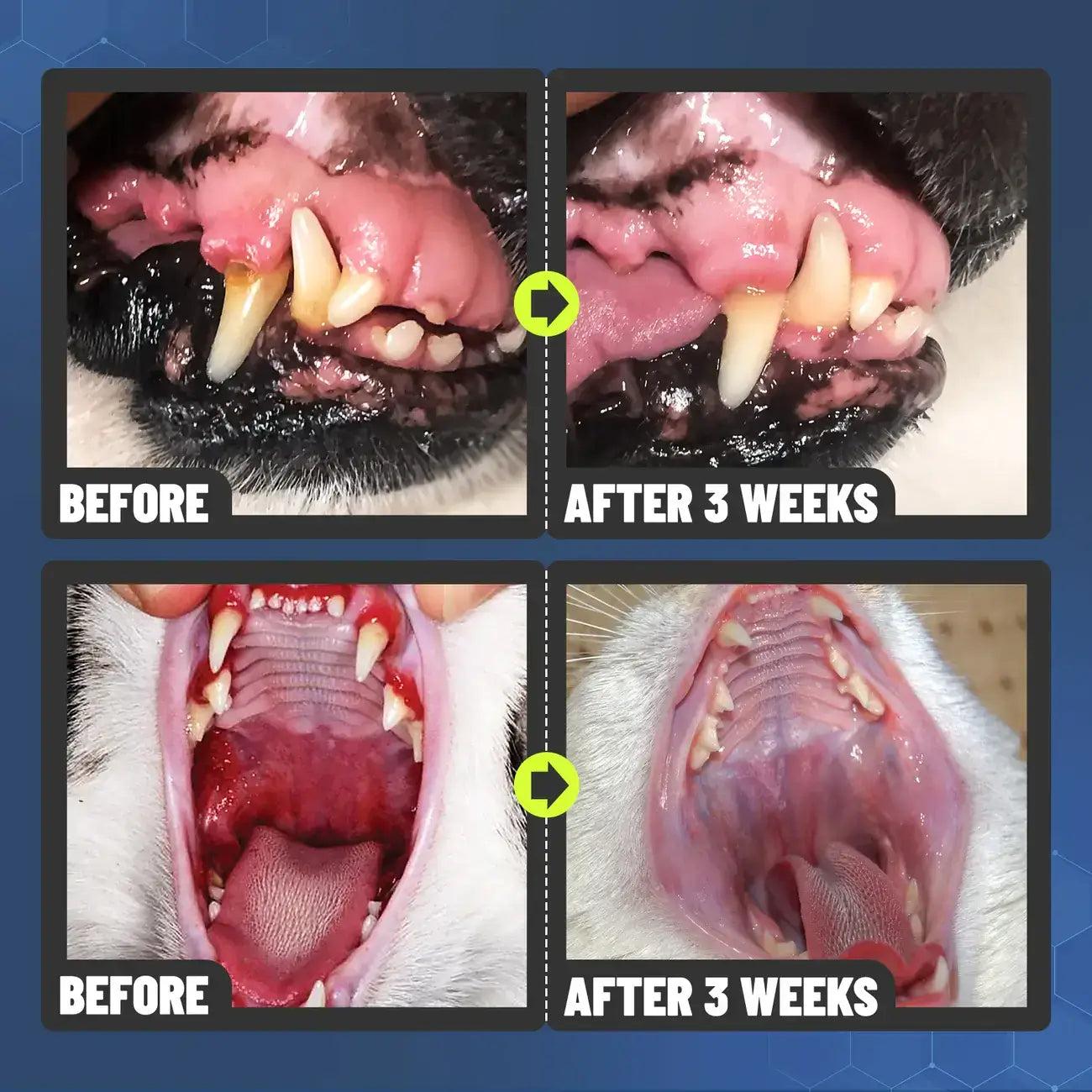 SEAGRIL™ Dental Spray – Stop Bad Breath & Tartar at the Source