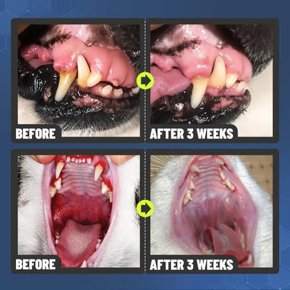 SEAGRIL™ Dental Spray – Stop Bad Breath & Tartar at the Source