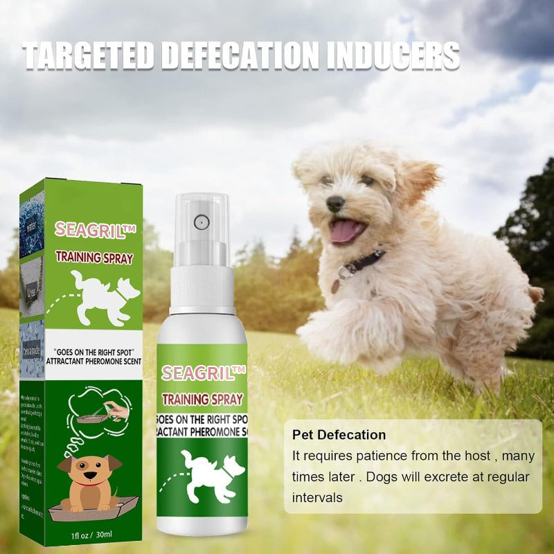 Stress-Free Potty Training Spray