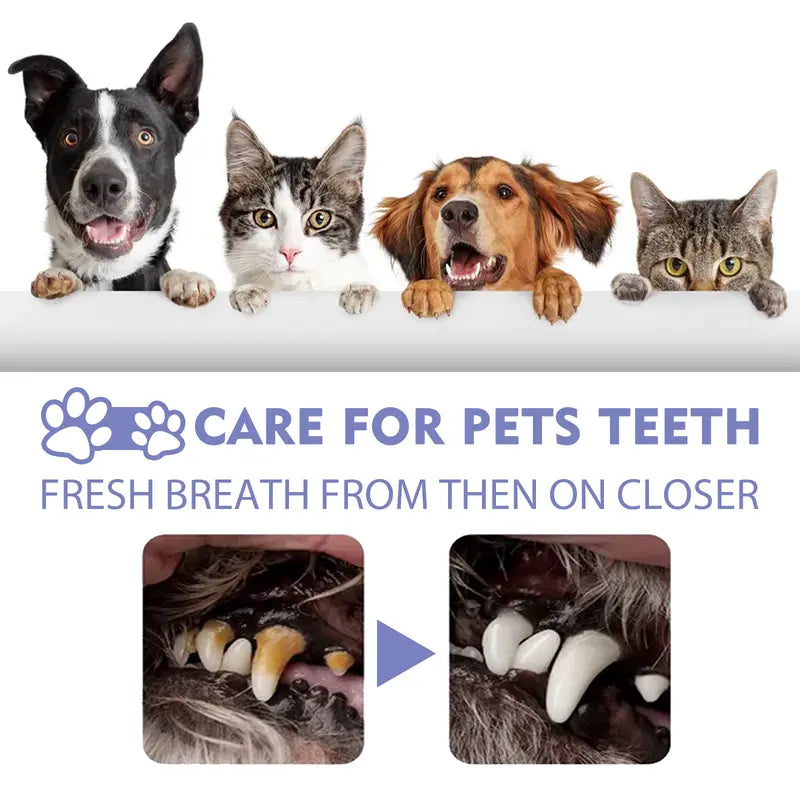 🔥Hot Sales 50% OFF🔥🔥 SEAGRIL®  Pet Dental Care Spray – Fresh Breath & Easy Oral Care for Dogs & Cats 🐶🐱-CU