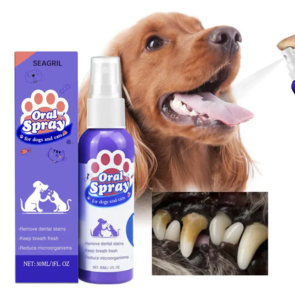🔥Hot Sales 50% OFF🔥🔥 SEAGRIL®  Pet Dental Care Spray – Fresh Breath & Easy Oral Care for Dogs & Cats 🐶🐱-CU